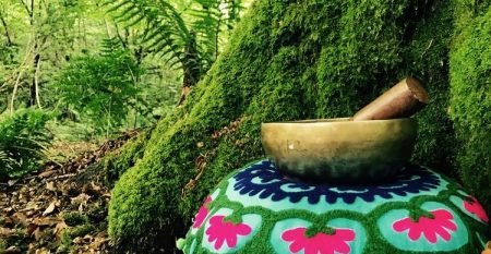 Bowl+at+tree Bowl+at+tree